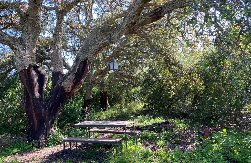 alojamientos AlohaCamp La Muela Hideaway  1