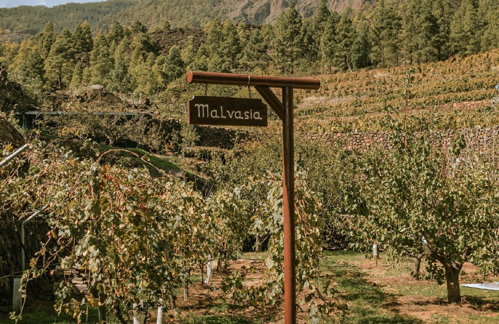 AlohaCamp Finca Ecológica Ferrera. Alojamiento Rural. 1
