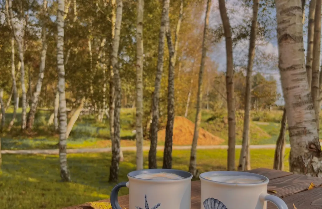 AlohaCamp Apartament Lawendowy 1