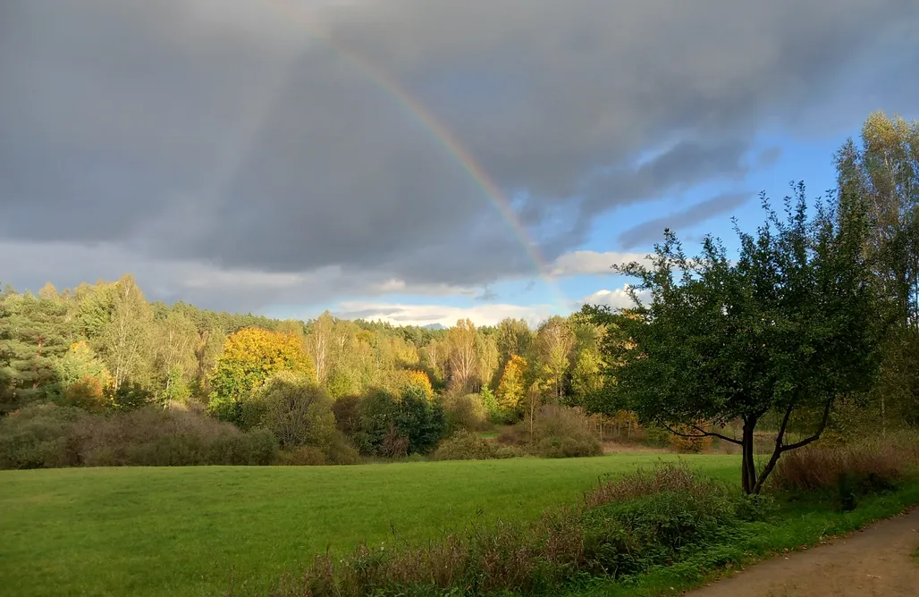 noclegi AlohaCamp Uliwersal 1