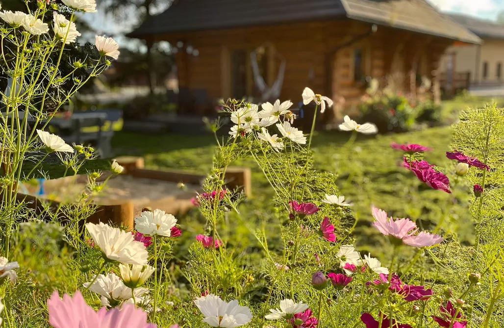 AlohaCamp accommodaties Dom z drzew w Istebnej 5