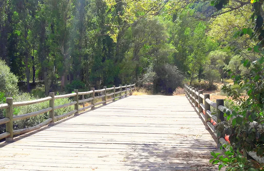 alojamientos AlohaCamp La Fábrica de la Luz 3