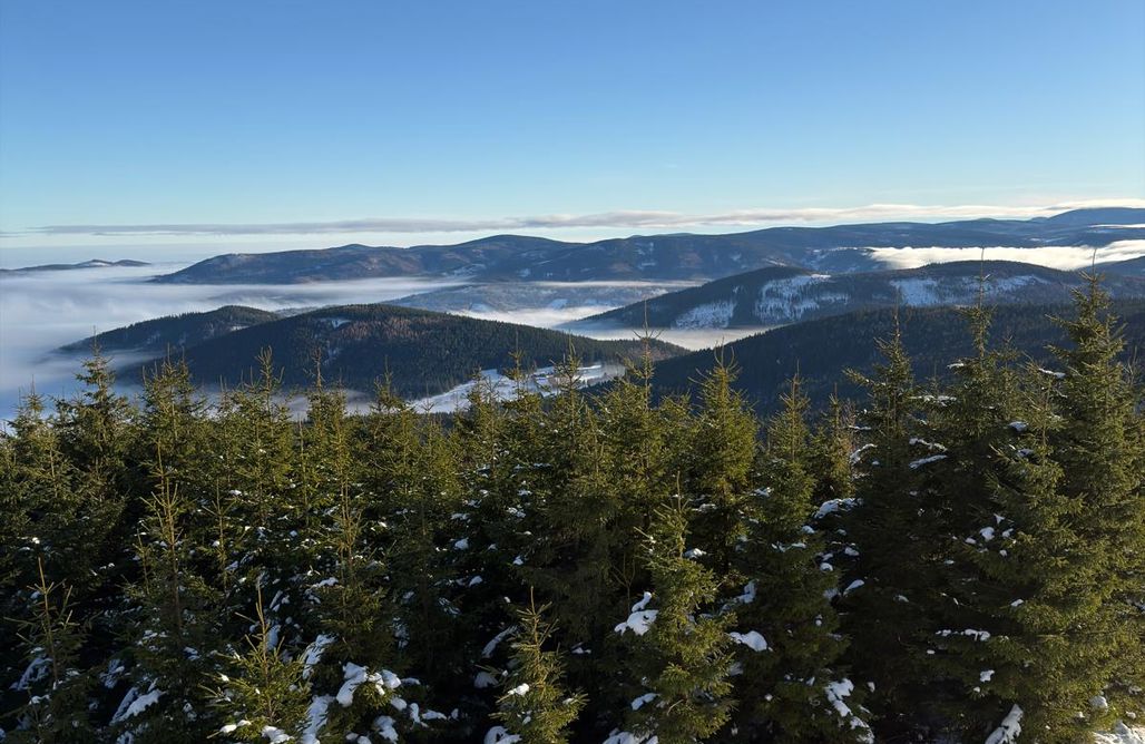 noclegi AlohaCamp Domek Szeregowy Przyjacielówka Ekstra - Miejsce Ciszy 1