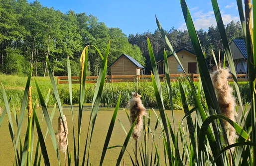 Zdjęcie obiektu Dwa Stawy Dęborogi 