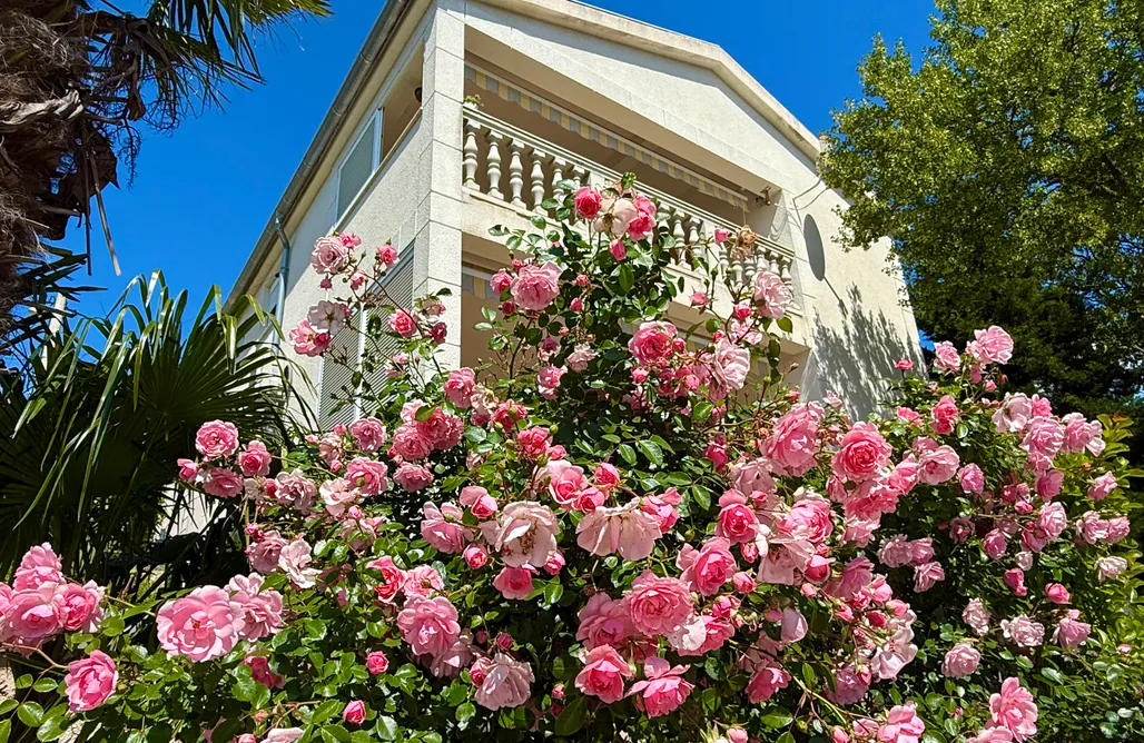 AlohaCamp accommodation Villa Theresa Kroatien, Kvarner Bucht 4