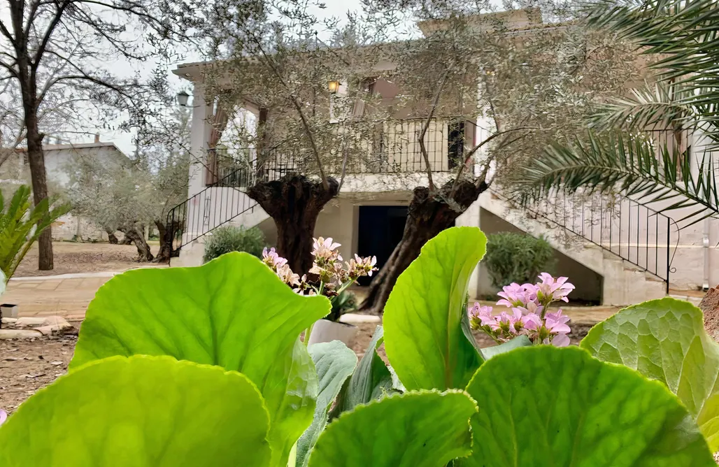 Unterkunft AlohaCamp Casería San José 2