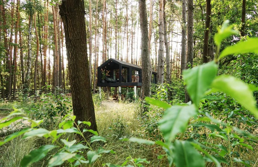 Domek na drzewie Bydgoszcz Sosnowa Kryjówka 2