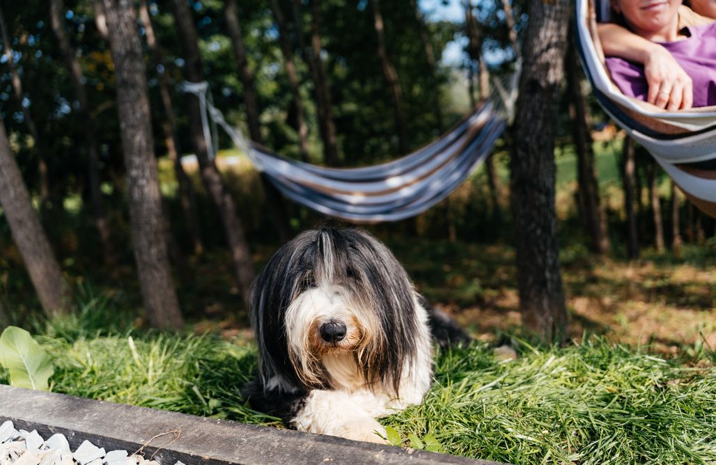 Jelenie Brdy AlohaCamp