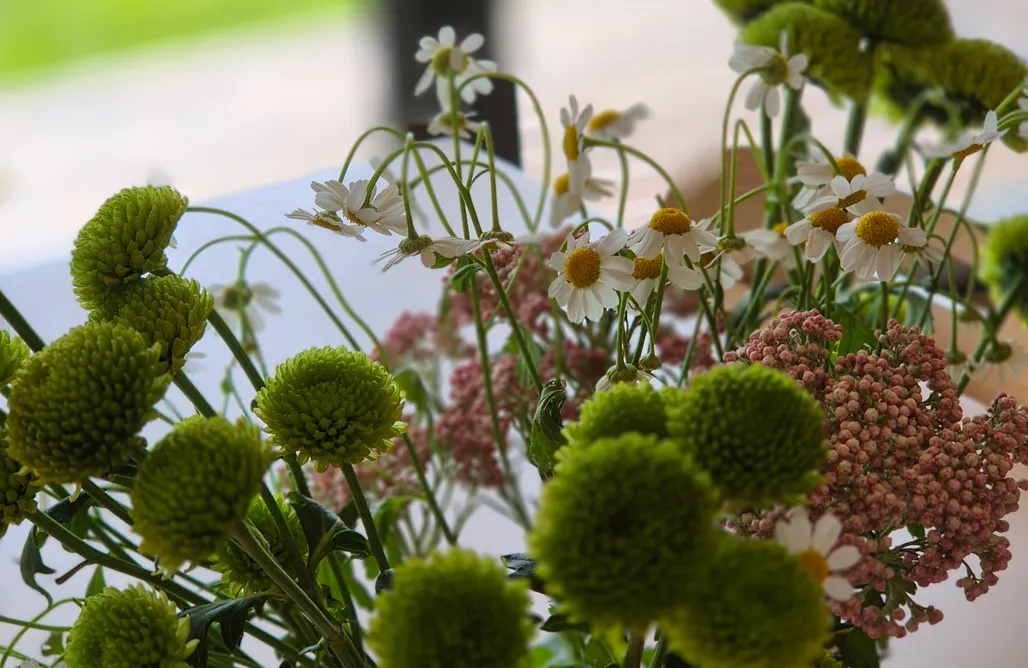 noclegi AlohaCamp Morze Dębina 1