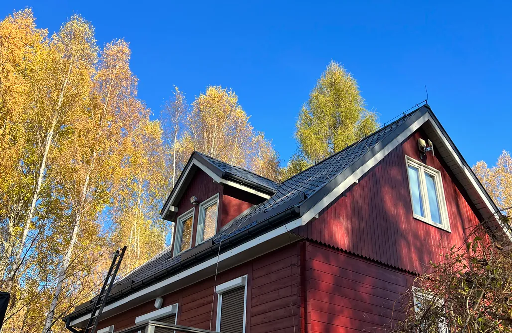 AlohaCamp Dom Wśród Brzóz 1 ha prywatności 1