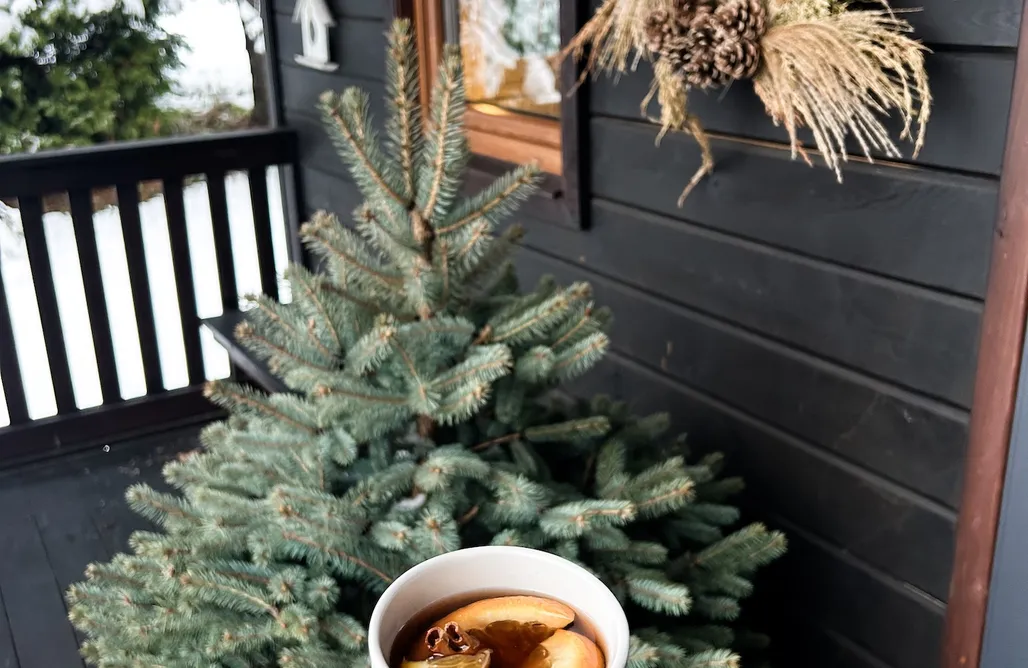 Jezioro Rożnowskie Noclegi Domek pod Lasem 3