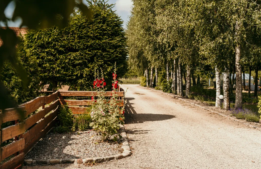 Węgorzewo Domki Brzozowe Siedlisko  1