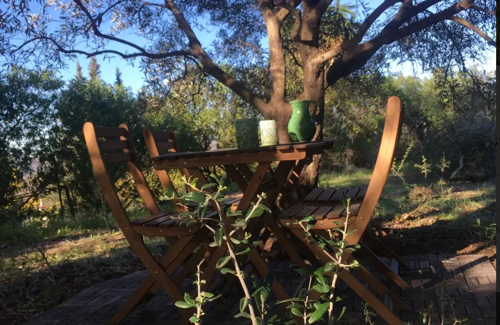 AlohaCamp Mongolia 1