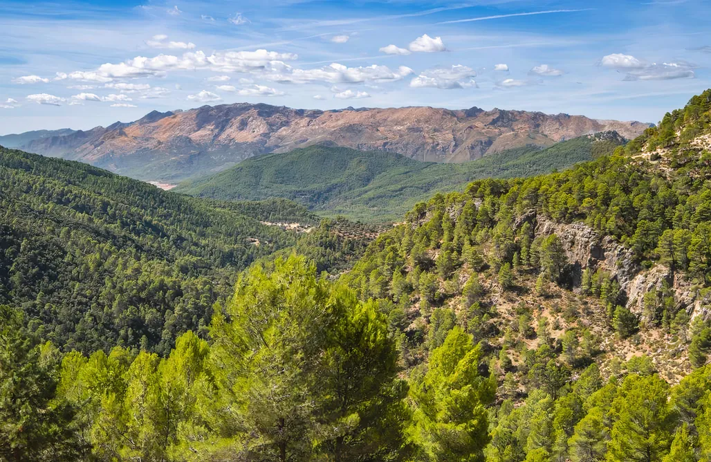 Alojamiento en Villa Del Rio Casa Rural Cabeza Alta 3