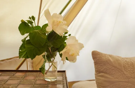 Imagen de Glamping Madreselva