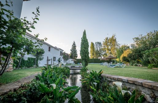 Imagen de Molino Mísqueres - Al Agia