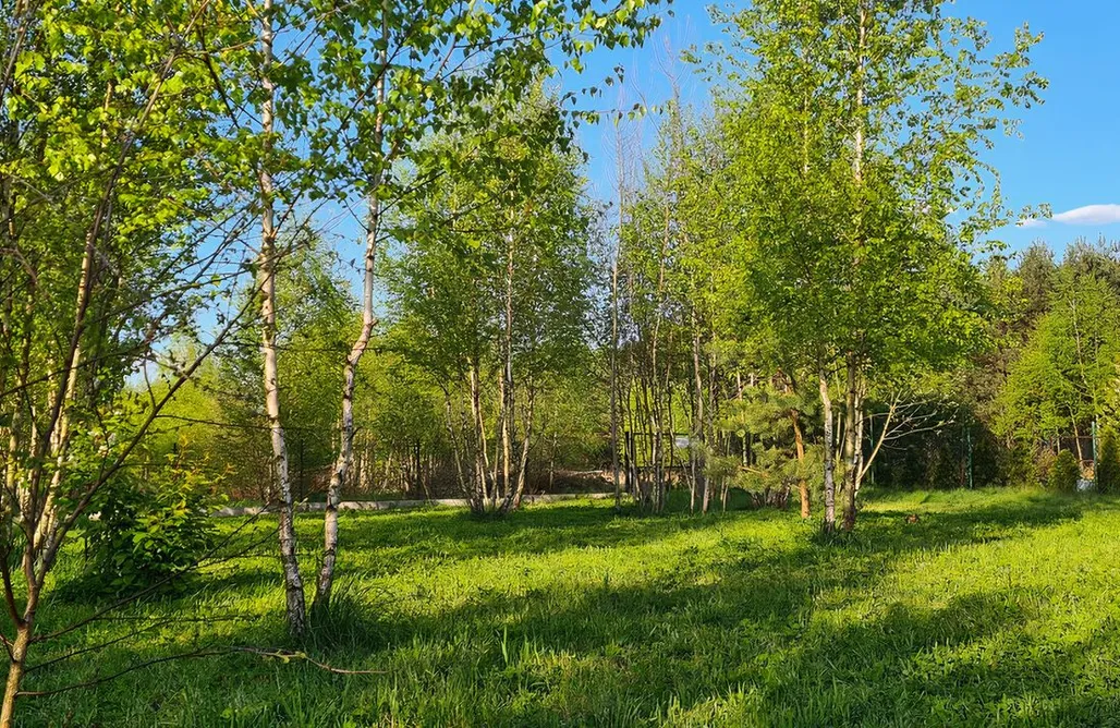 noclegi AlohaCamp Mazovia Village 5