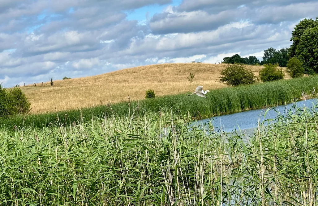 AlohaCamp Wyjątkowy dom nad jeziorem - TU SIĘ ODPOCZYWA 1