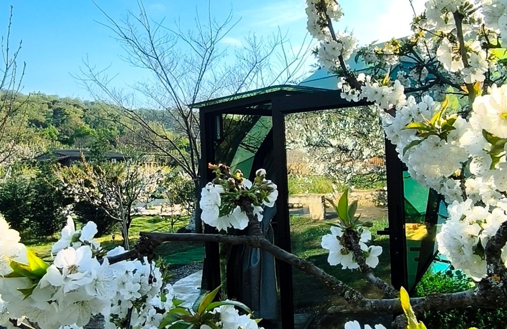 Hébergement AlohaCamp El Jardín De Las Delizias 1