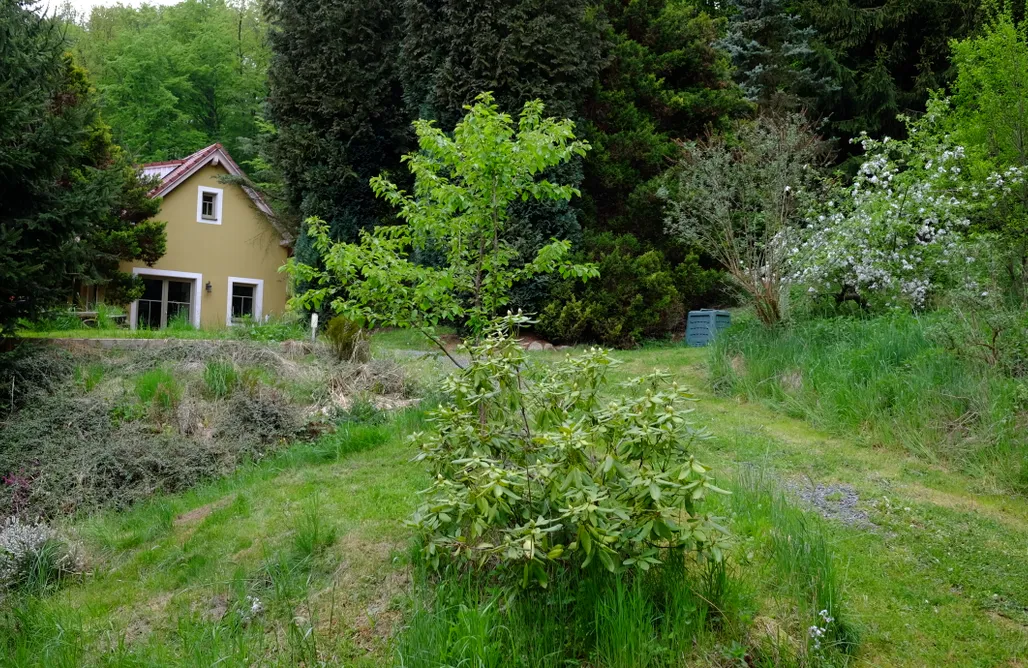 Waldhaus Bielatal AlohaCamp