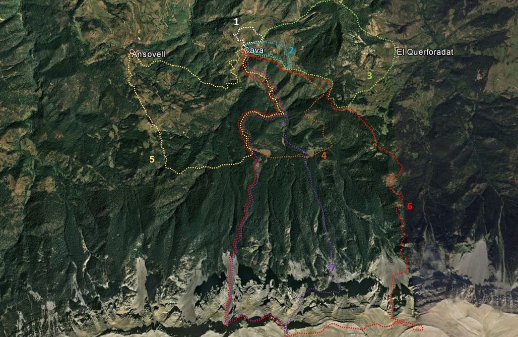 AlohaCamp Cal Sansa 1