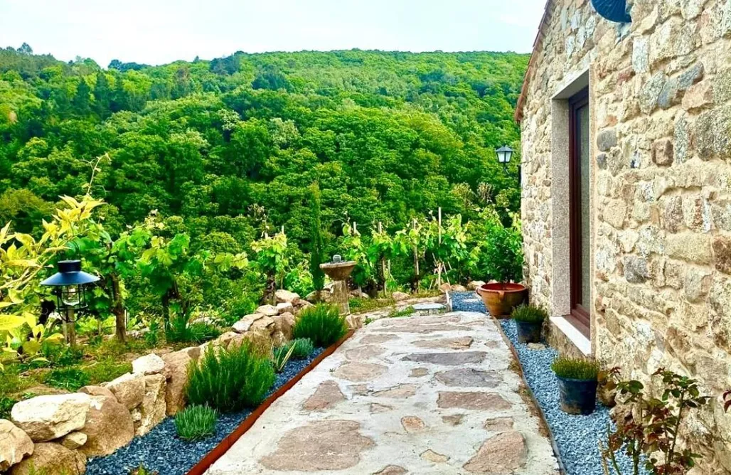 alojamientos AlohaCamp Casiña Raíz Entre viñas y cielo Ribeira Sacra 5