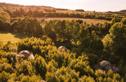 Zdjęcie obiektu Vegan House