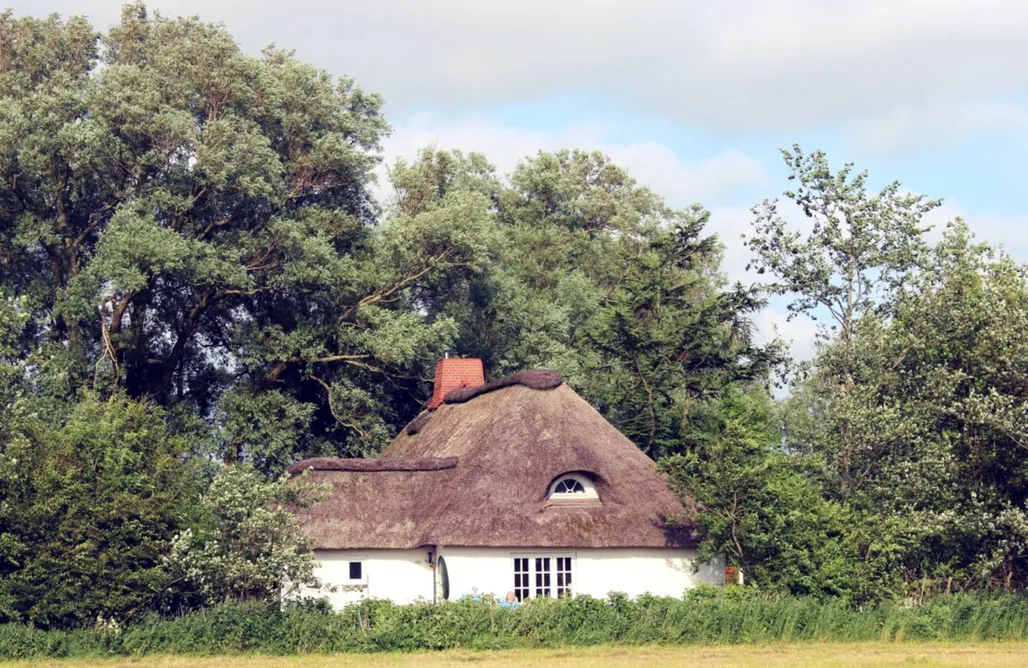 Unterkunft AlohaCamp Landhaus Andresen 5
