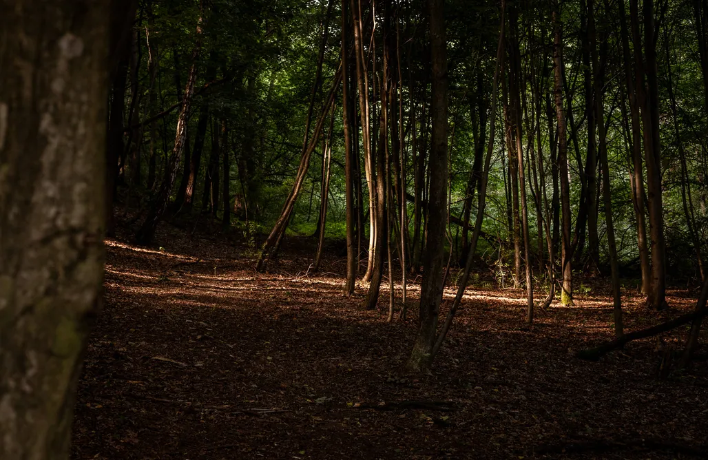 noclegi AlohaCamp Wisienka 25 1