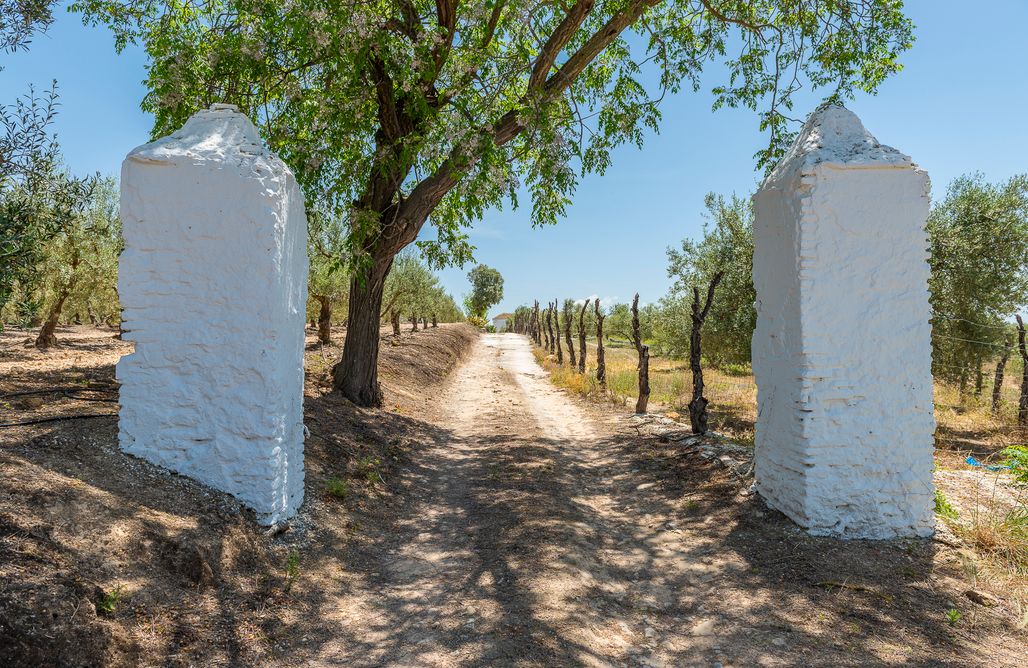 AlohaCamp Hacienda San Antonio 1