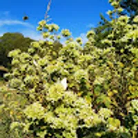 Sandra používateľ