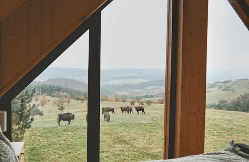 Zdjęcie obiektu Chaty w chmurach