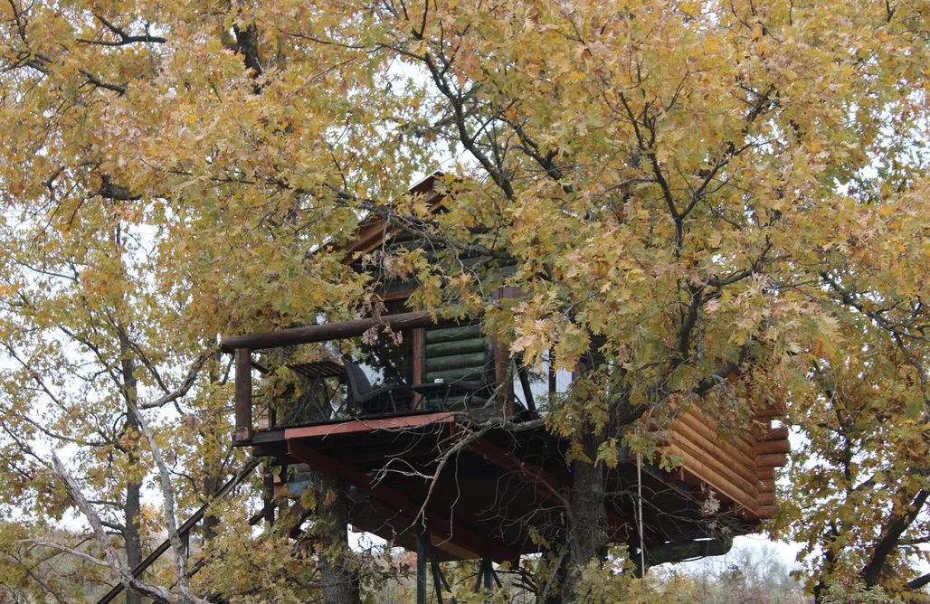 alojamientos AlohaCamp Cabaña Brisa 5