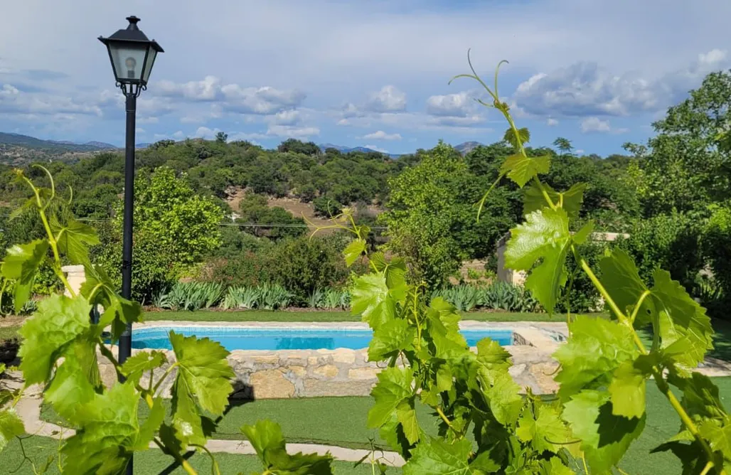 alojamientos AlohaCamp SKD Casa Naranja Suite Rioja 1