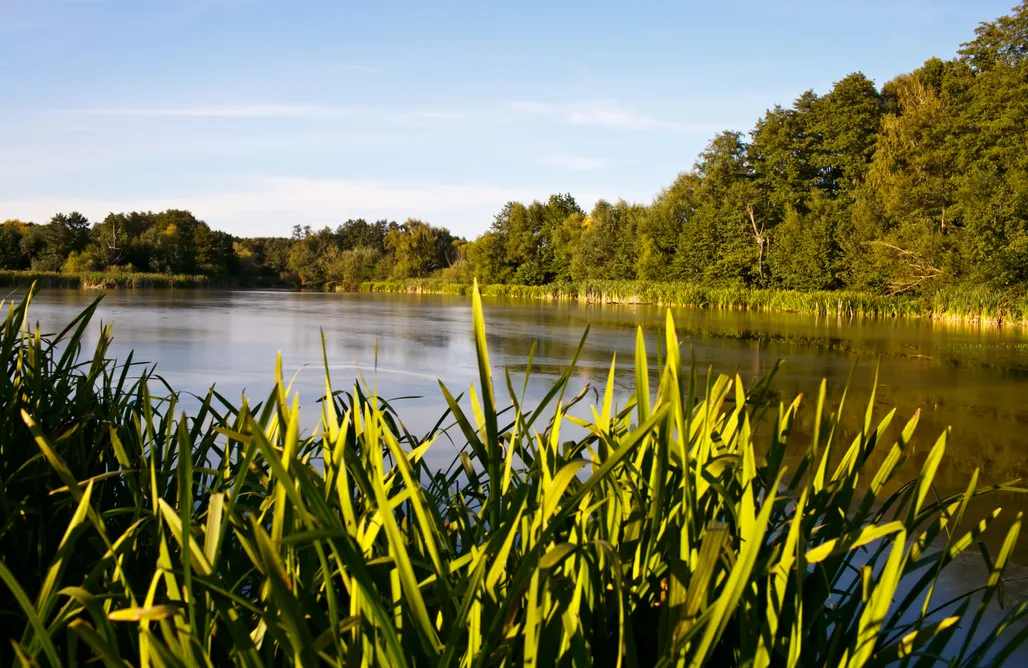 noclegi AlohaCamp Zakątek Kołowrót  1