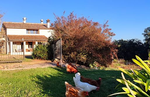 Imagen de Mas Vinyoles