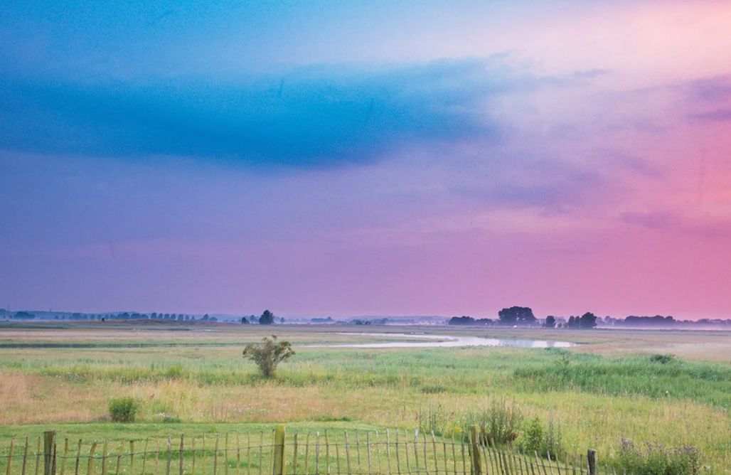 Ferienhaus direkt am Strand Ferienhaus Austernfischer 3