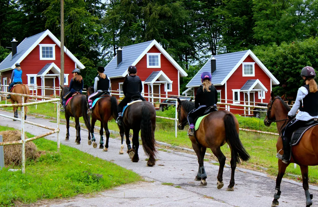 noclegi AlohaCamp Dom skandynawski na terenie Stadniny koni 4
