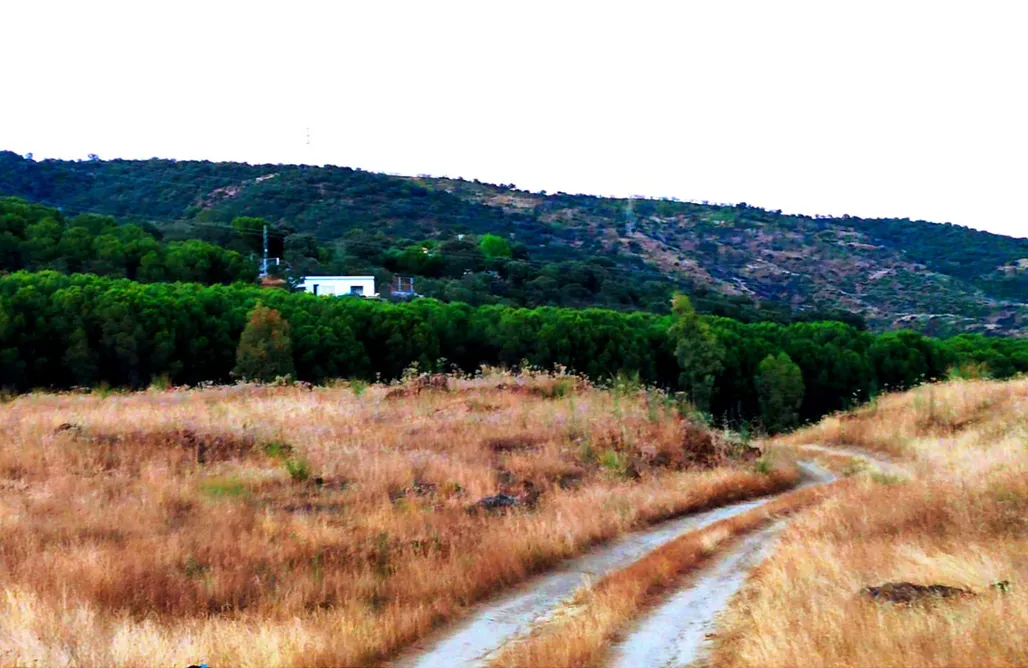 AlohaCamp Osa Mayor 1