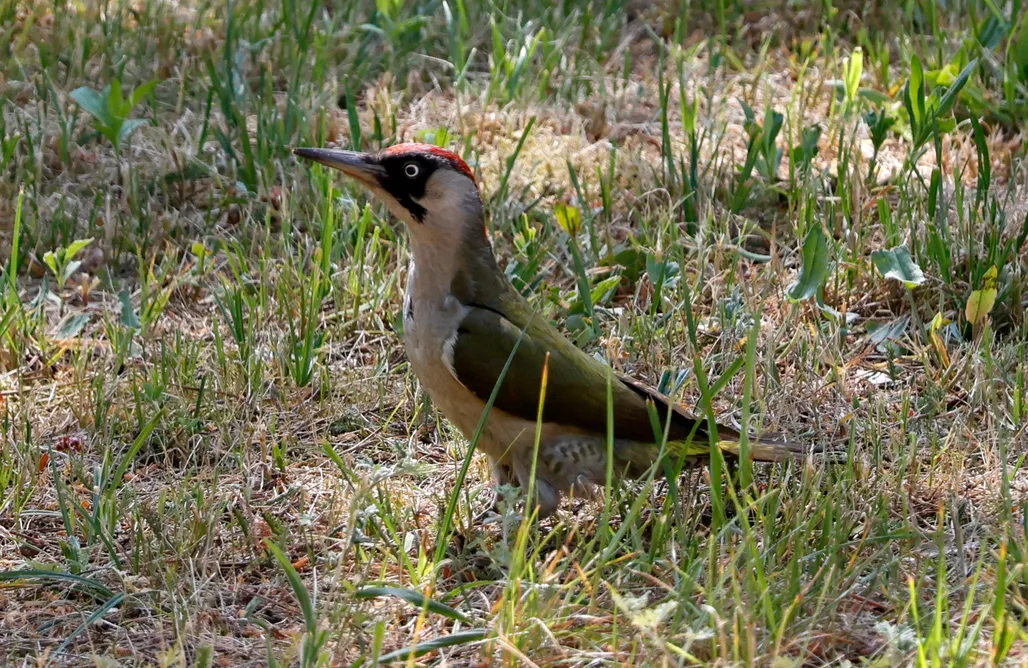 Unterkunft AlohaCamp Zielona Perspektywa Agroturystyka 1