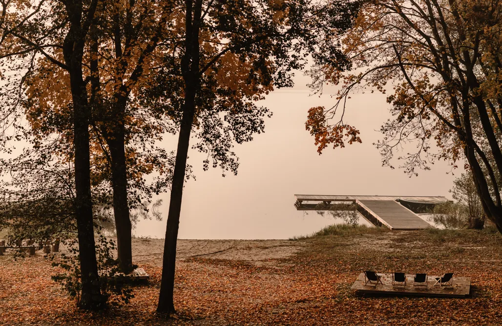 AlohaCamp Pokój Leśny 1