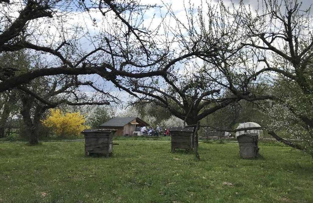 Pole campingowe Radom Miejsce kamperowe - Serownia Podłazy 3