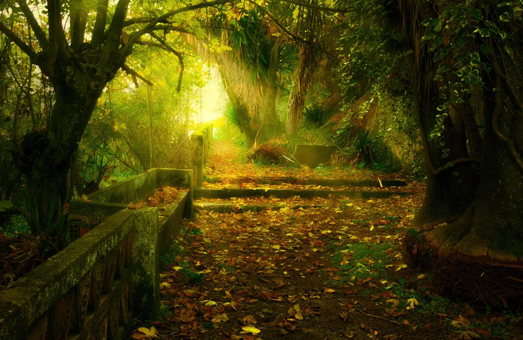 Hoteles en Córdoba Centro de Naturaleza Cañada Verde 1