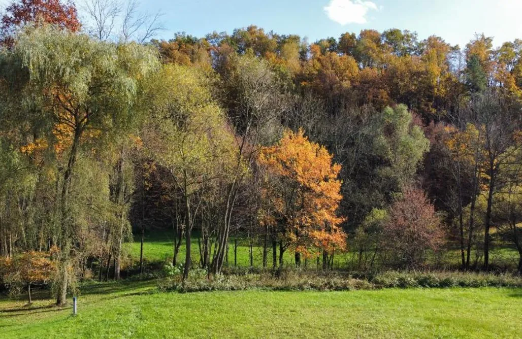 AlohaCamp accommodation Domek pod Lasem 1