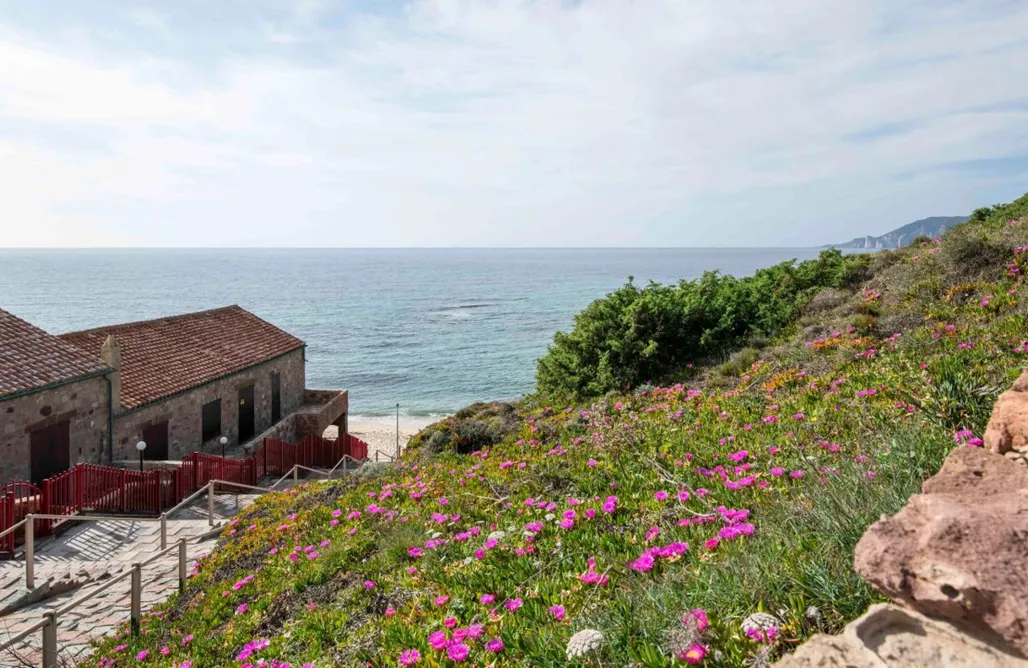 Alloggio AlohaCamp La Terrazza sul Mare - Portopaglia 5