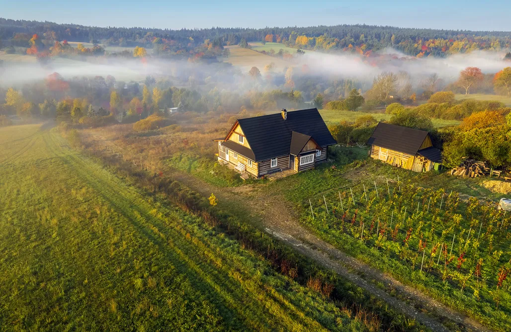 Glamping Karpaty Utopia - dom przy winnicy 3