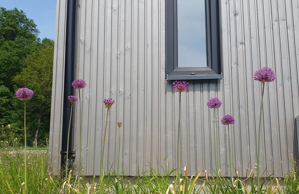 AlohaCamp Domek żółty- Słońce 1