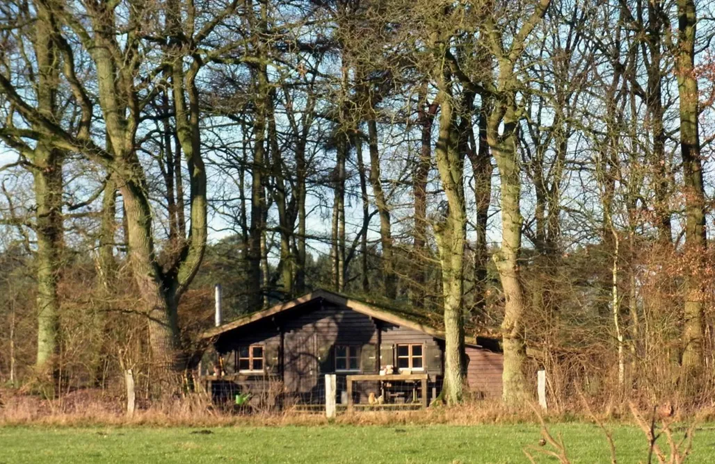 Unterkunft AlohaCamp Blockhütte 35 km nördlich von Hamburg 5