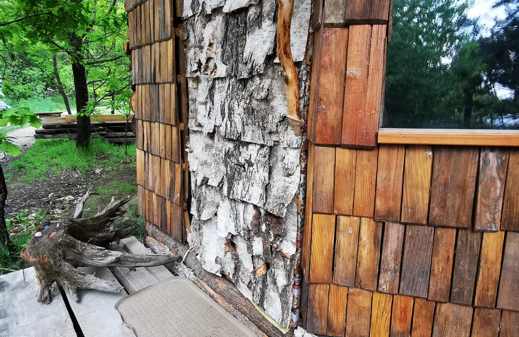 AlohaCamp Maloka - Zaczarowany Las 1