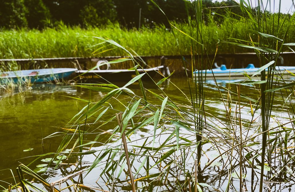 AlohaCamp Mazury Linowo 1